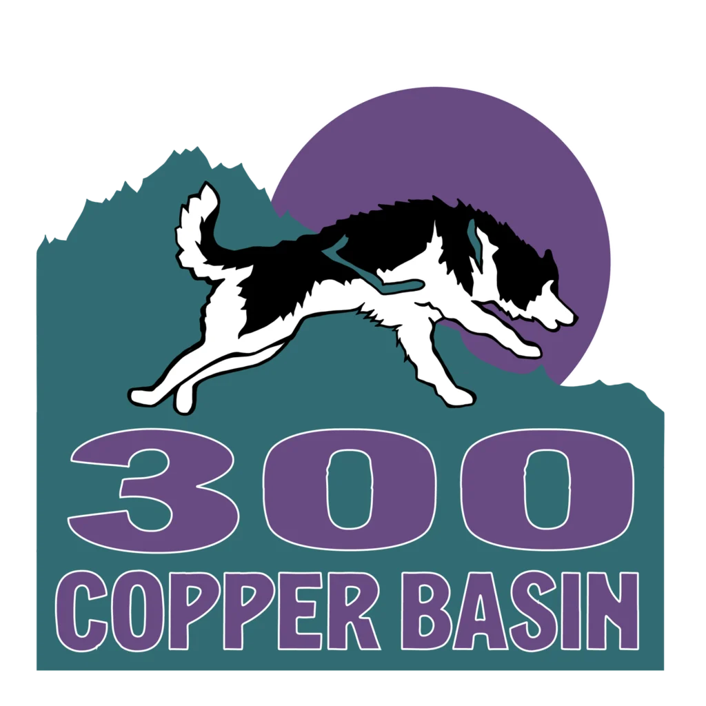 CB300+UPDATED+LOGO+2024